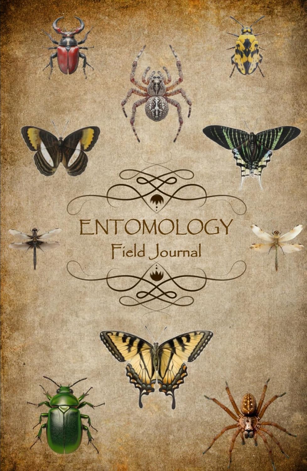Entomology Journal
